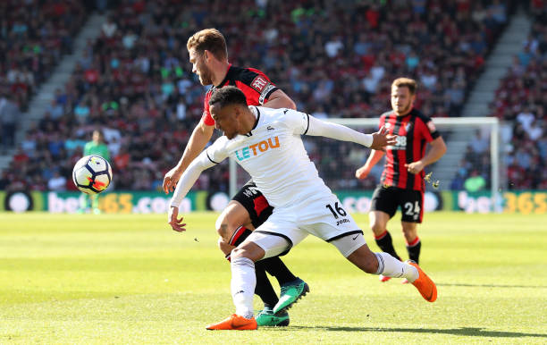 便成了球迷 便成了球迷